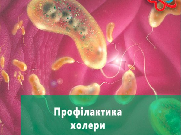 Профілактика холери